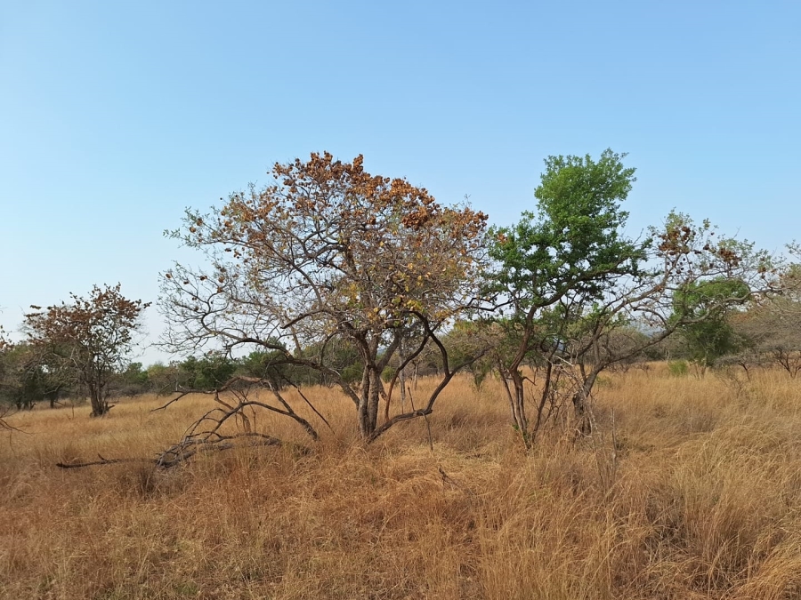 5 Bedroom Property for Sale in Koster North West